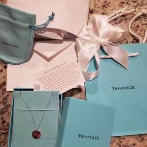 Tiffany & Co Notes Alphabet Disc Charm 16" Pendant - letter N - Brand New